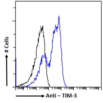 Anti-TIM-3 [7H2]