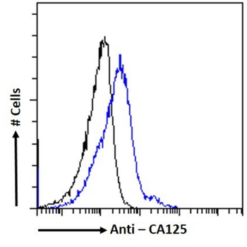 Anti-CA125 [20E3]