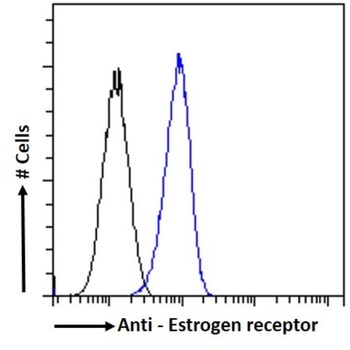 Anti-Estrogen receptor [4E11]