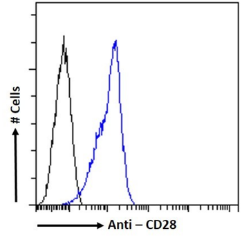 Anti-CD28 [9.3]