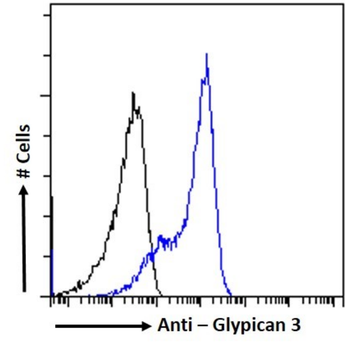 Anti-Glypican 3 [15G1]