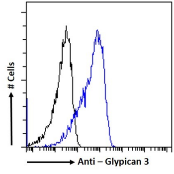 Anti-Glypican 3 [4G7]