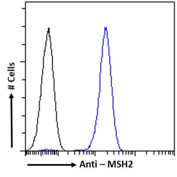Anti-MSH2 [1B11-14-16]