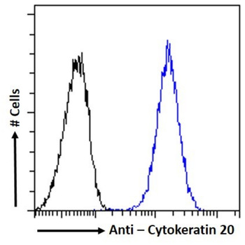 Anti-Cytokeratin 20 [10A2]