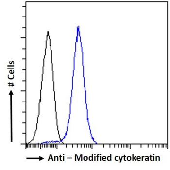 Anti-Modified cytokeratin [COU-1]