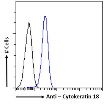 Anti-Cytokeratin 18 [HH156]