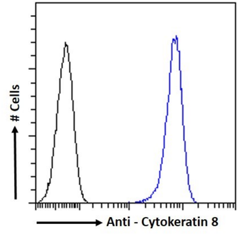 Anti-Cytokeratin 8 [TS1]