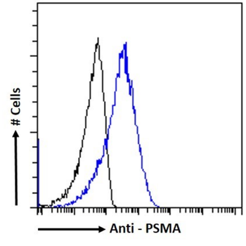 Anti-PSMA [11d1e5E10]