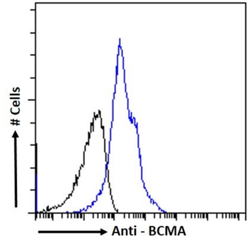 Anti-BCMA [I09]