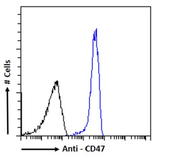 Anti-CD47 [B6H12]