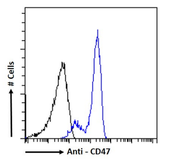 Anti-CD47 [ZF1]