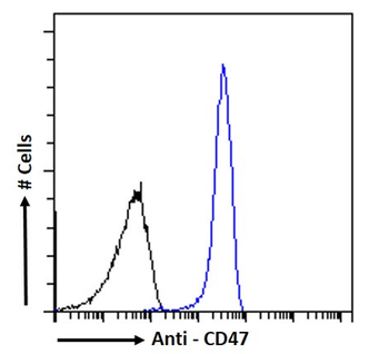 Anti-CD47 [2D14]