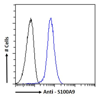 Anti-S100A9 [IID4B10]