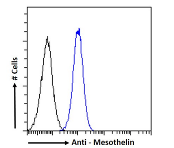 Anti-Mesothelin [K1]