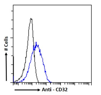 Anti-CD32 [MDE-9]