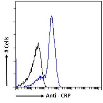 Anti-CRP [P02]