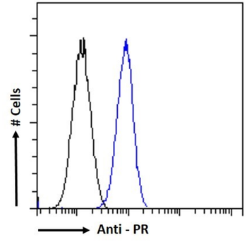 Anti-Progesterone Receptor [14B3]