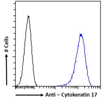 Anti-Cytokeratin 17 [4D2]