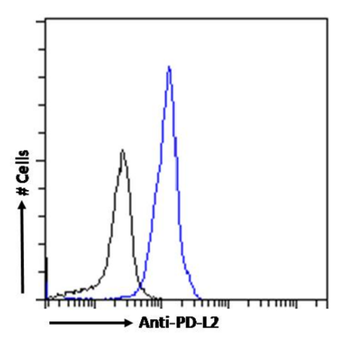 Anti-PD-L2 [366C.9E5]