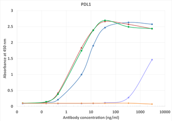 Anti-PD-L1 [10F.9G2]