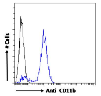 Anti-CD11b [M1/70]