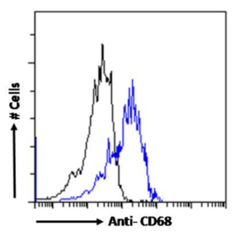 Anti-CD68 [FA-11]