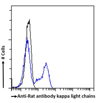 Anti-Rat antibody kappa light chains [OX-12]