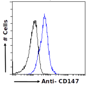 Anti-CD147 [OX-114]