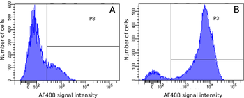 Anti-CD45RA or A/B [OX-30]