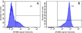 Anti-CD48 [OX-45]
