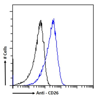 Anti-CD26 [OX-61]