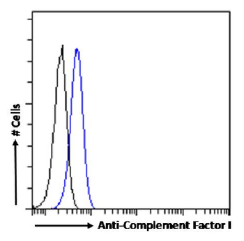 Anti-Complement Factor I [OX-21]