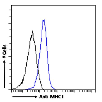 Anti-MHC I (RT1A) [OX-18]