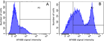 Anti-CD43 [W3/13]