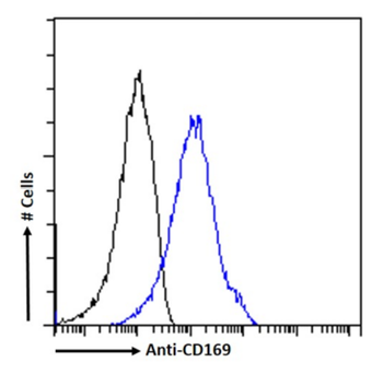 Anti-CD169 [SER-4 (recombinant version)]