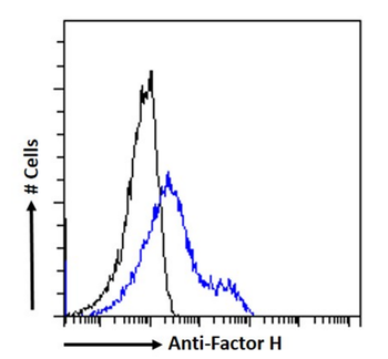 Anti-Factor H [OX23]