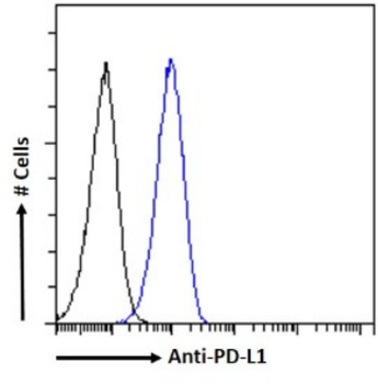 Anti-PD-L1 [B7HC0013]