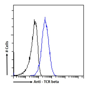 Anti-TCR beta [IARC307]