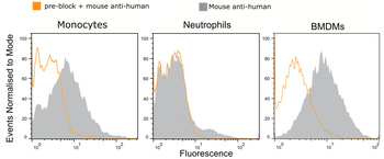 Anti-CD16/CD32 [2.4G2]