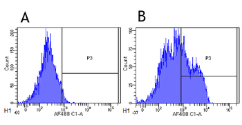 Anti-CD22 [hL22 (Epratuzumab)]