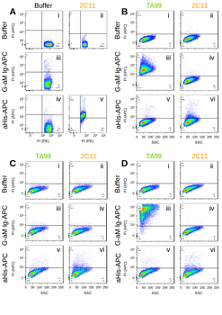 Anti-TRP-1, gp75 [TA99]