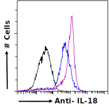 Anti-IL-18 [SAIC-24B-4]