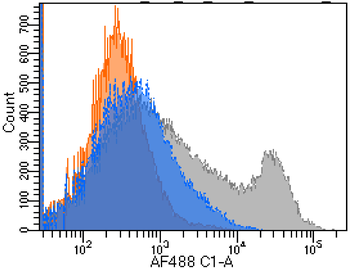 Anti-GITR [YGITR 860.103.5]