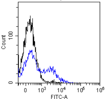 Anti-EGFR [S3 12D]