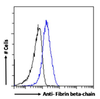 Anti-Fibrin beta-chain [8E5]