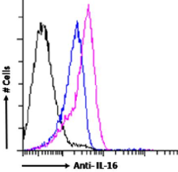 Anti-IL-16 [14.1]