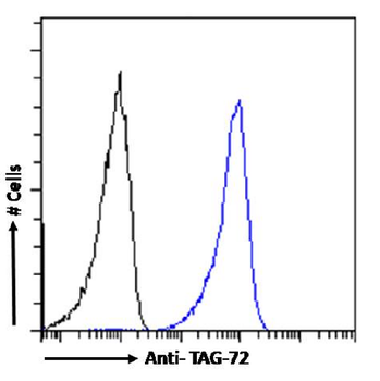 Anti-TAG-72 [Minretumomab (CC49 )]