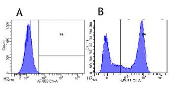 Anti-CD32 [AT10]