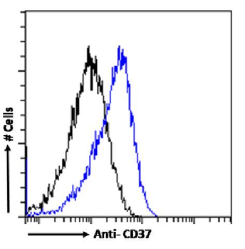 Anti-CD37 [MB-1]