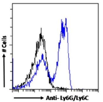 Anti-Ly6G/Ly6C [RB6-8C5]
